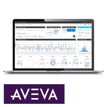 Picture for category AVEVA™ System Platform