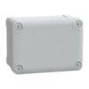 Picture of Thalassa, ABS box IP66 IK07 RAL7035 Int.H150W105D80 Ext.H164W121D87 Opaque cover H20