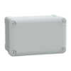 Picture of Thalassa, ABS box IP66 IK07 RAL7035 Int.H175W105D80 Ext.H192W121D87 Opaque cover H20