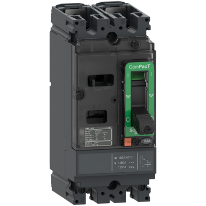 Picture of Circuit breaker, ComPacT NSX160F AC/DC, 18kA/415VAC, 2 poles, TMD trip unit 125A