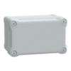 Picture of Thalassa, ABS box IP66 IK07 RAL7035 Int.H175W105D100 Ext.H192W121D105 Opaque cover H40