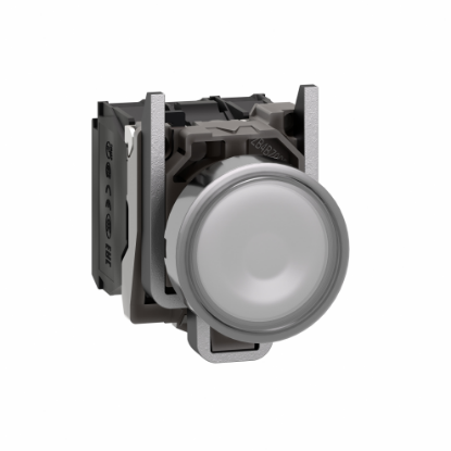 Picture of Illuminated push button, Harmony XB4, metal, white flush, 22mm, universal LED, plain lens, 1NO + 1NC, 24V AC DC