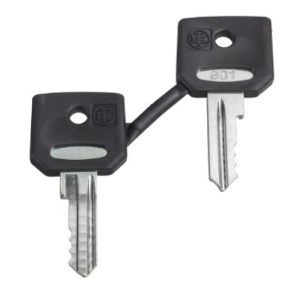 Picture of Key, Harmony XB4, emergency stop push button, key 421E, set of 2 keys