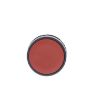 Picture of Monolithic push button, Harmony XB7, plastic, red, 22mm, spring return, unmarked, 1NO+1NC