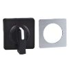 Picture of Cam switch operating head, Harmony K1, K2, 22mm, plastic, 45x45mm plate, metallic legend, black handle