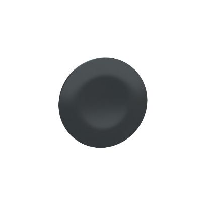 Picture of black cap unmarked for rectangular multiple-headed pushbutton Ø22