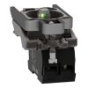 Picture of Complete body contact assembly and light block, Harmony XB4, with body fixing collar, universal LED, 24V, 1NC