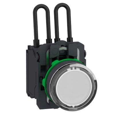 Picture of Push to test pilot light, Harmony XB5, universal LED,  white, plastic, 22mm, 110...120V