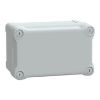 Picture of Thalassa, ABS box IP66 IK07 RAL7035 Int.H175W105D100 Ext.H192W121D105 Opaque cover H40