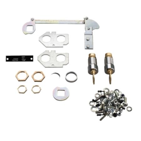 Picture of Lock+adaptation kit, Spare part,SM6-24, cubicle,earthing switch,tubular