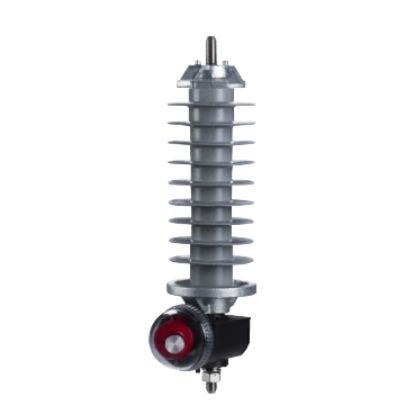 Picture of Surge arrester SM6-24, spare part, 24 kV, 5kA, modular