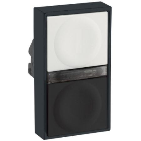 Picture of white flush/black flush illuminated double-headed pushbutton Ø22 unmarked